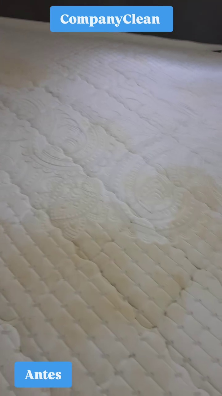 Colchão antes da higienização